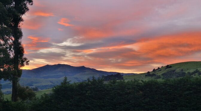 Fra Wellington til Christchurch